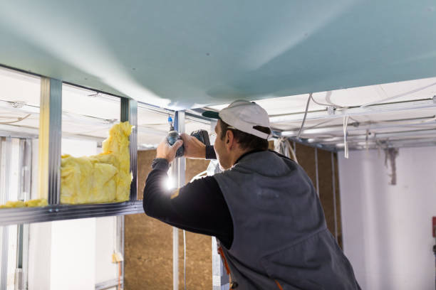 Best Eco-Friendly Insulation in Willmsburg, IA